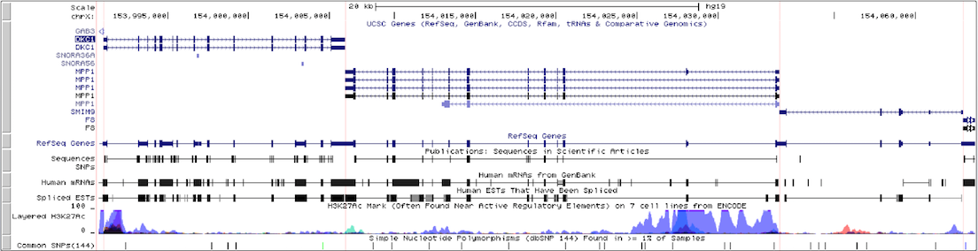 Multi-Region gene-only view